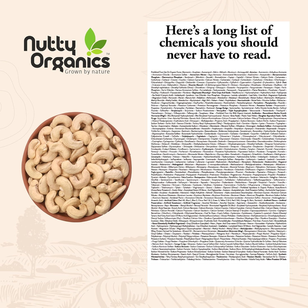Nutty Organics Whole Cashew Nuts 250 Gm | Hand Selected Jumbo | Nutritious & Delicious Nuts | Natural & Crunchy | Healthy Dry Fruit Snack