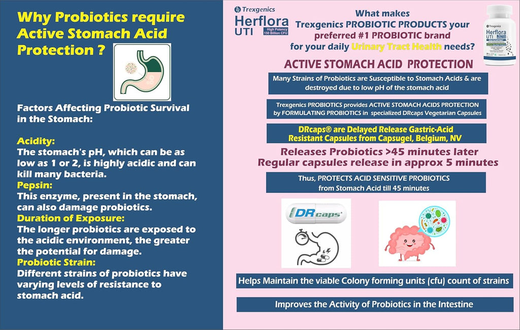 Trexgenics HERFLORA-UTI Probiotics 150 Billion CFU Urinary Tract Health Support Delayed release stomach acid protection capsules (30 Veg Capsules))