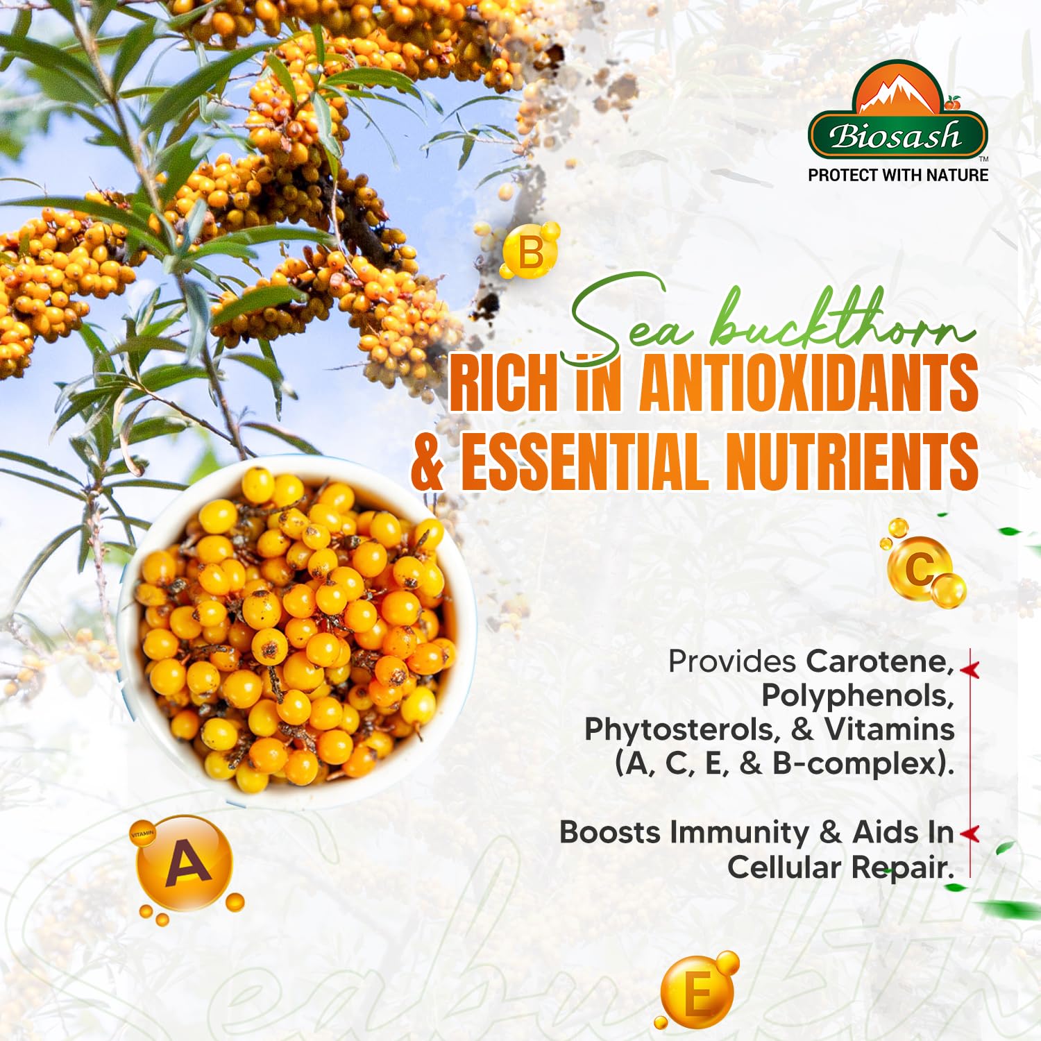 Biosash Sea Buckthorn Juice 250ml | Organic Cold-Pressed Pure Juice | Rich in Omega 3 6 7 9, Vitamins & Antioxidants | No Added Sugars, Sea Buckthorn Berries for Wellness Vitality &Immunity