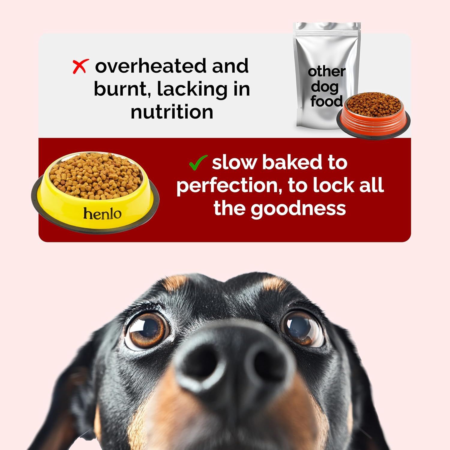 Henlo Baked Chicken & Liver Dry Dog Food | 100% Human Grade Ingredients | 800G | Dry Food for Adult Dogs & Puppies