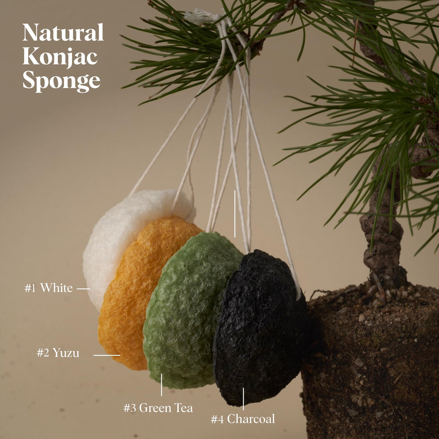 ILEM JAPAN Natural Japanese Konjac Sponge Face