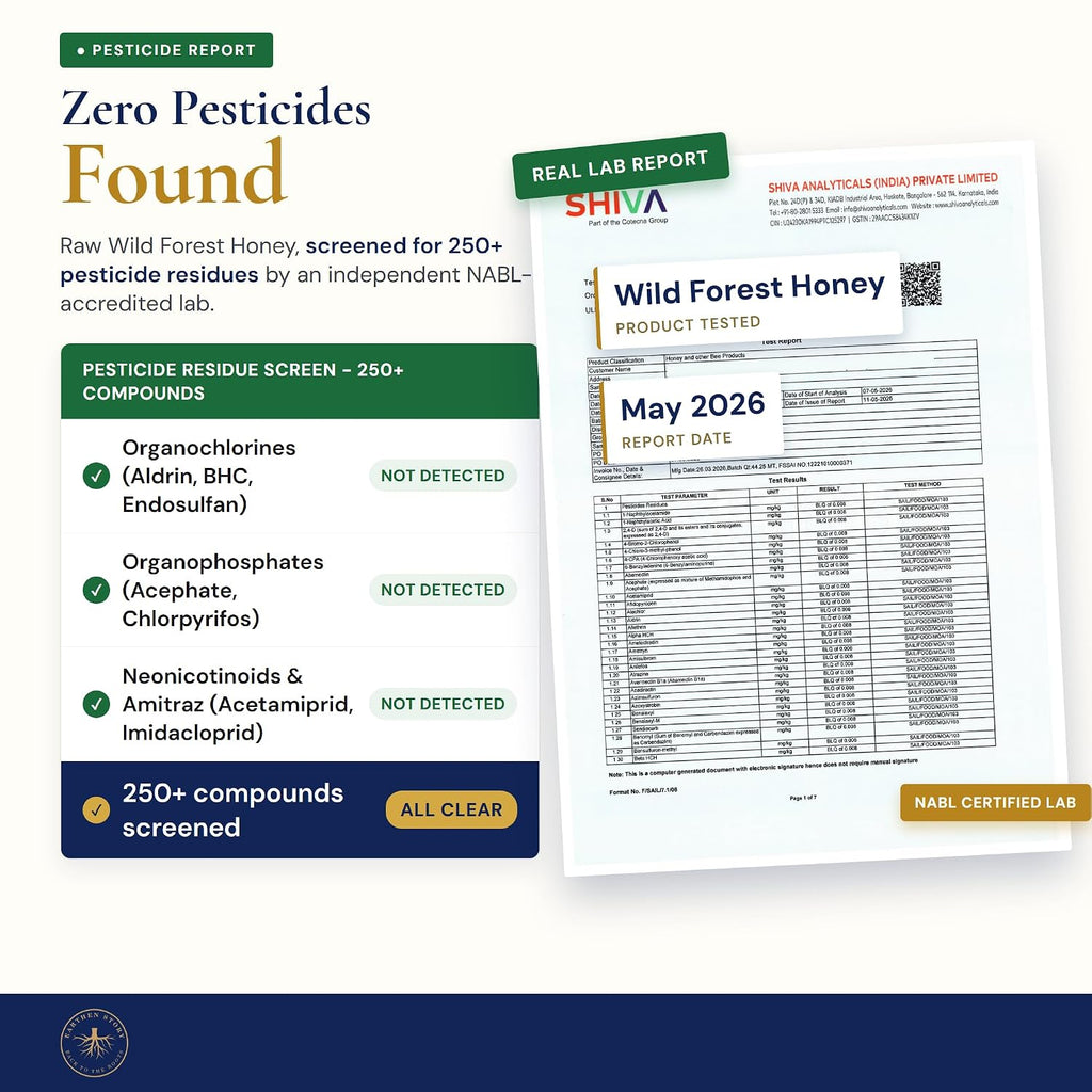 Earthen Story Certified Organic Wild Forest Honey 250 g | NMR & Lab Tested for 290+ Pesticides | NPOP Approved & Traceable with Transaction Certificate | Raw Honey in Glass Jar