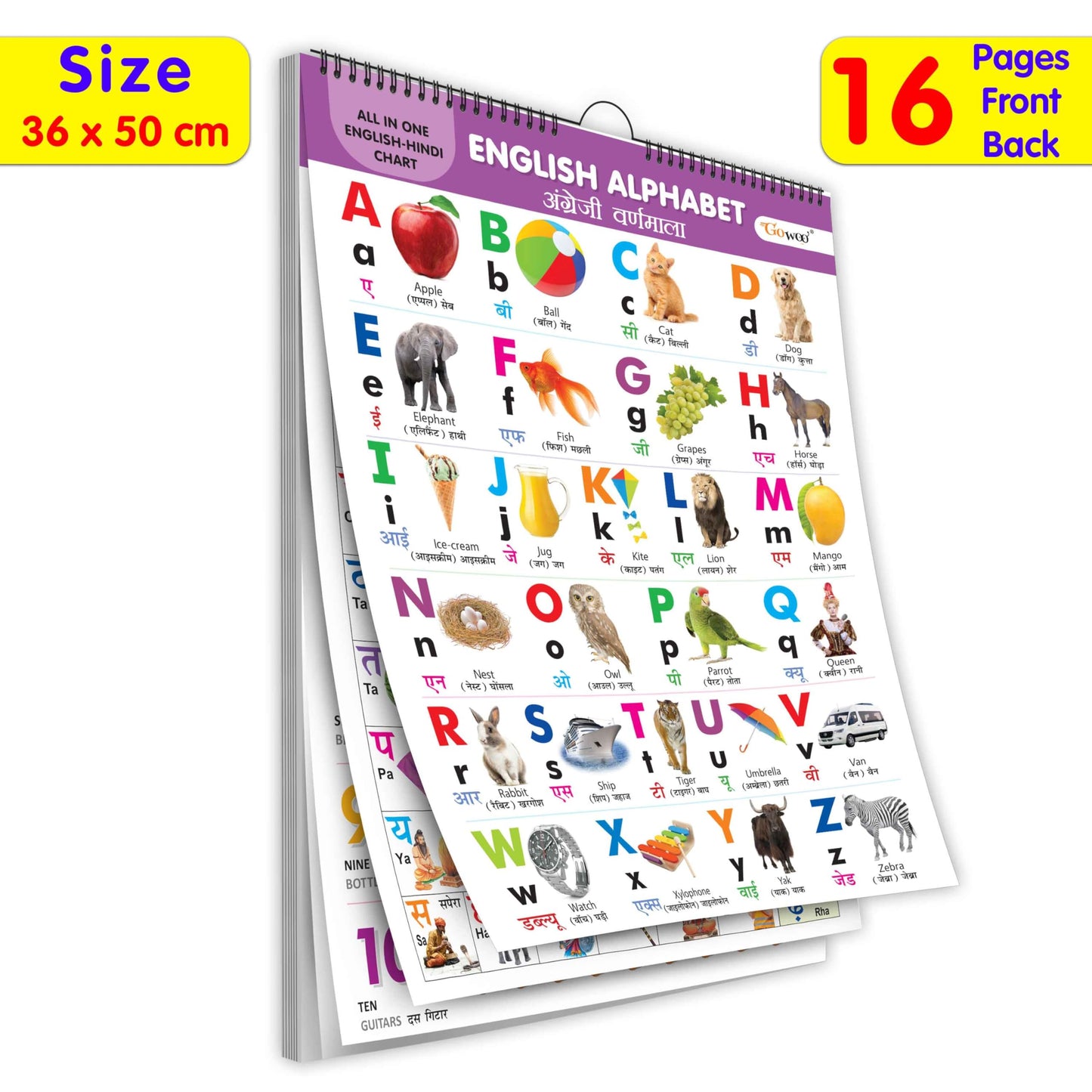 English-Hindi Chart For Kids (16 Charts ) 36 X 50 Cm - Children Spiral Wall Picture Chart