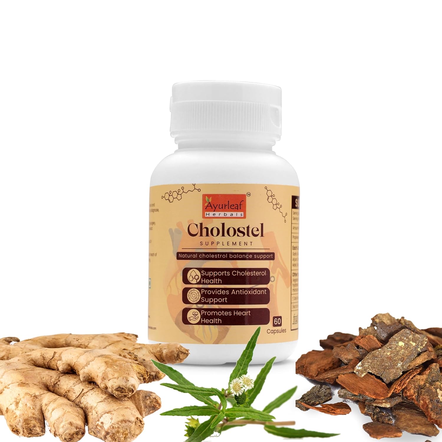Ayurleaf Herbals - Cholostel Extract Blended Capsules 450 Mg for for Men and Women | 60 Capsules