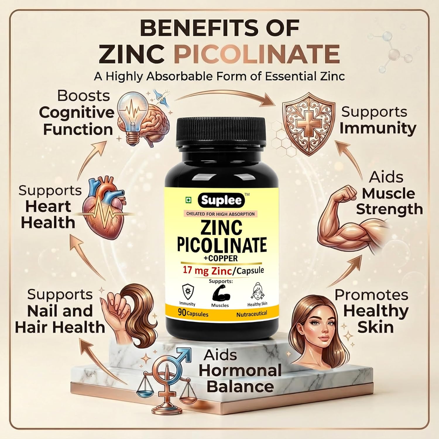 Suplee Zinc Picolinate with Copper Gluconate | High Absorption Zinc Supplement | Immunity, Skin Health & Muscle Support | 90 Veg Capsules