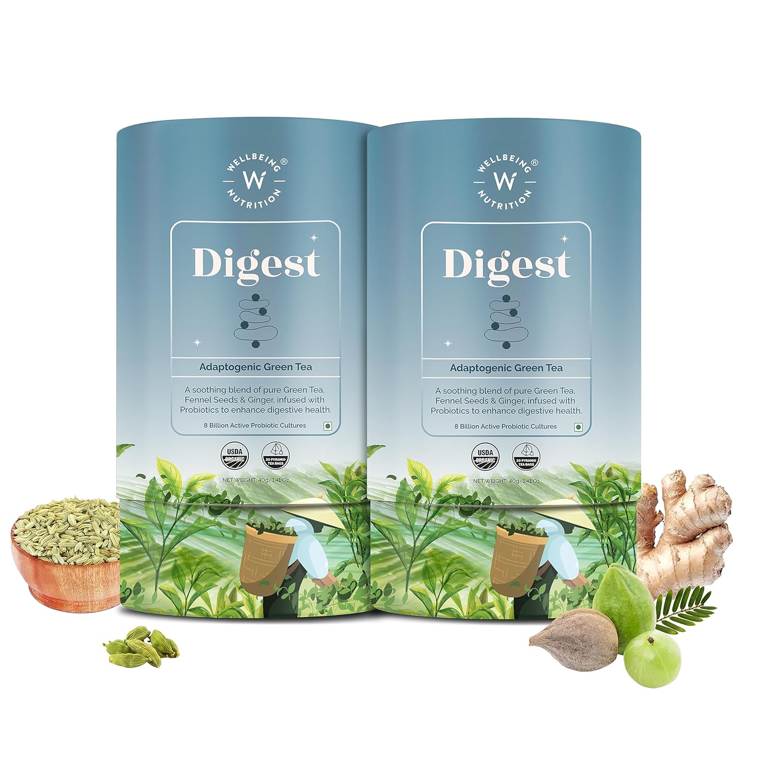 Wellbeing Nutrition Digest Green Tea | Digestive Tea with Probiotics, Digestive Enzymes, 8 Billion CFU & Fennel Seeds for better Digestion, Bloating, Gas and Acidity relief (40 Pyramid Tea Bags)