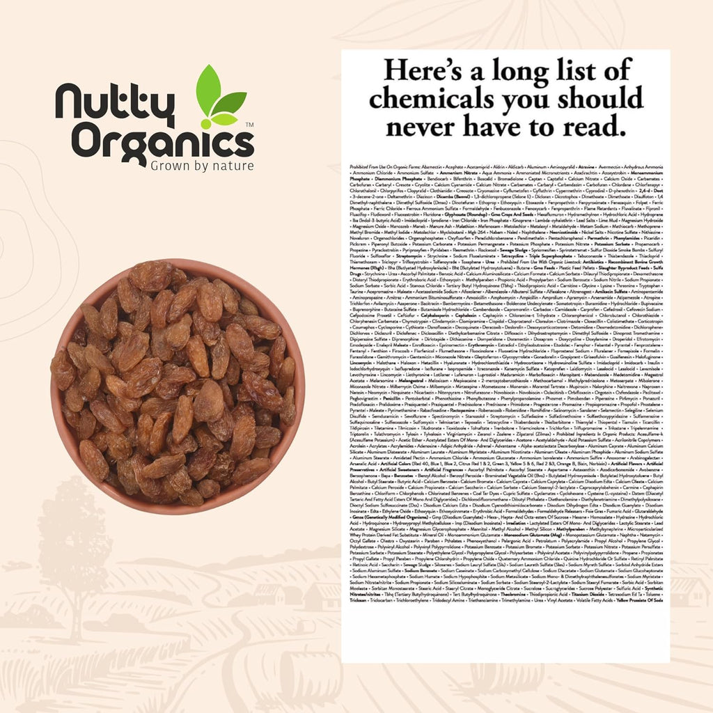 Nutty Organics Munaka Raisins 250 Gm | Nutritious| Rich in Iron | Tasty & Healthy Nuts Dry Fruits | Rich in Protein