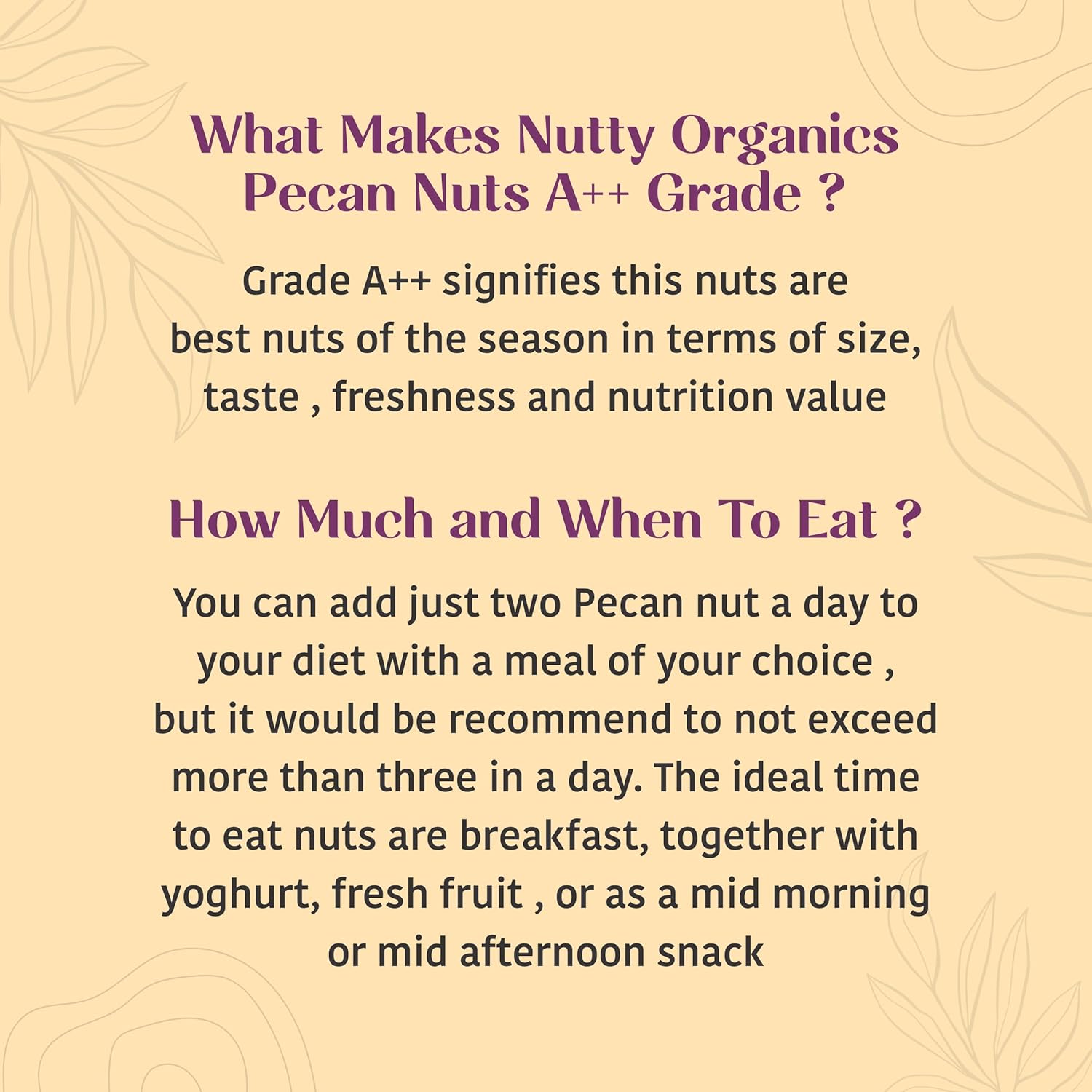 Nutty Organics Pecan Nuts Kernel 200g | Premium Shelled Pecan Nuts | Rich in Antioxidants & Healthy Fats | Natural Dry Fruits