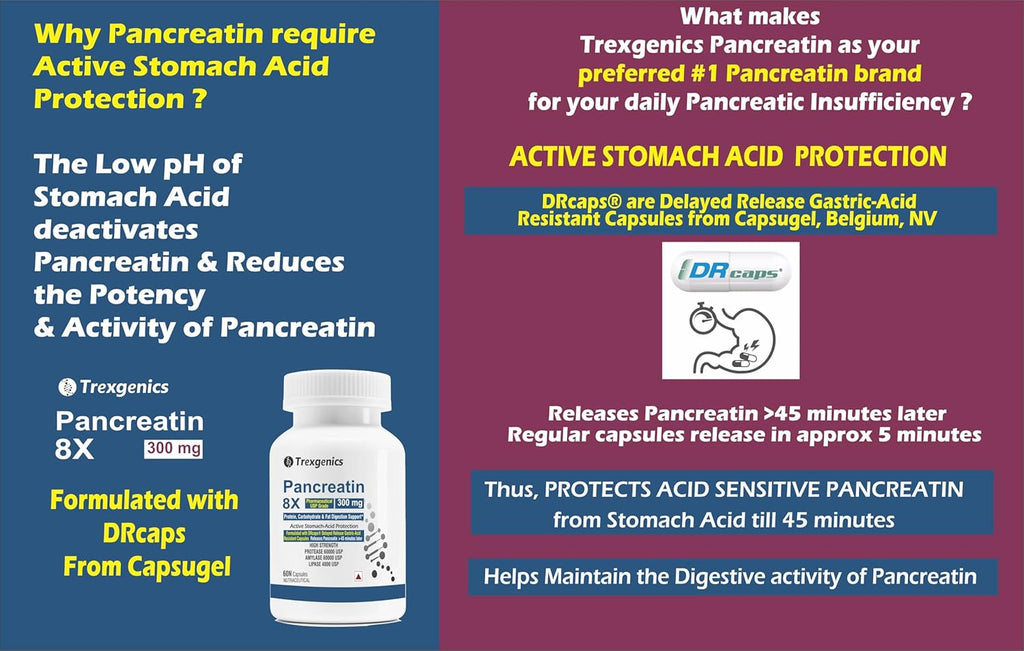 Trexgenics PANCREATIN 300 mg 8X Pharmaceutical Grade Stomach Acid Protected Protease 60000 USP, Amylase 60000 USP, 4800 USP Lipase Digestive Health Support (60 DRcaps)
