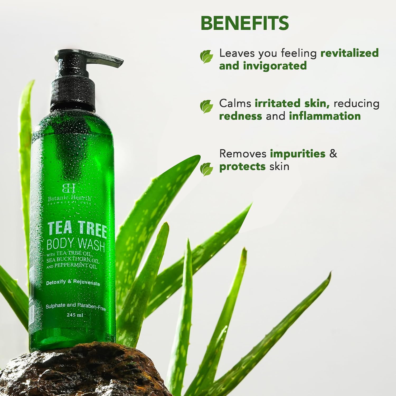 Botanic Hearth Tea Tree Body Wash with Sea Buckthorn Oil, Peppermint Oil | Detoxifies & Rejuvenates | Long Lasting Fragrance | Sulphate & Paraben Free | Shower Gel for Men and Women | 245ml