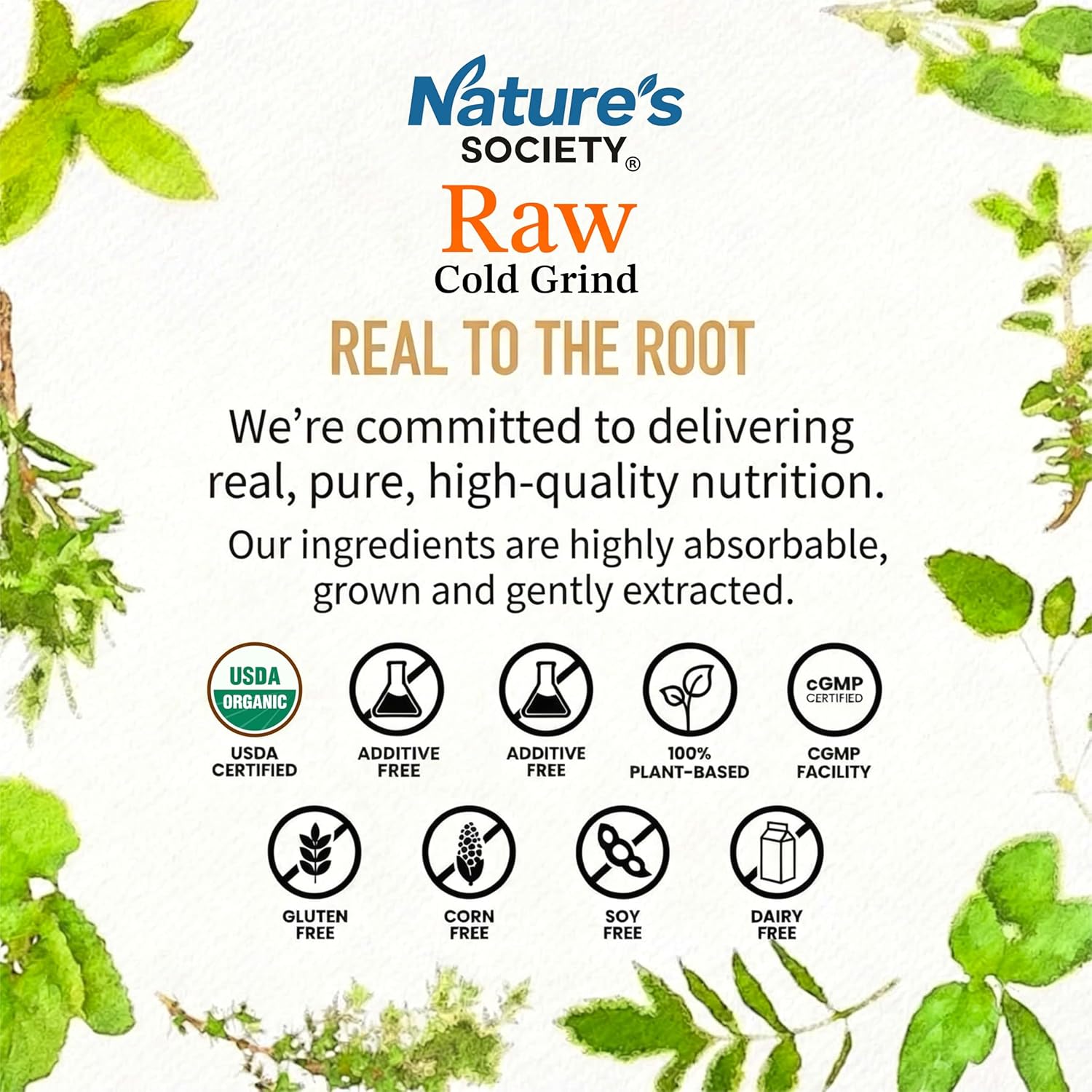 The Nature's Society Â® Bhumi Amla Powder Organic 100gm | Raw Cold Grind | USA Organic Certified | Pure Bhoomi Amla Powder for Liver Health, Digestion & Detox | Rich in Nutrients and Antioxidants |