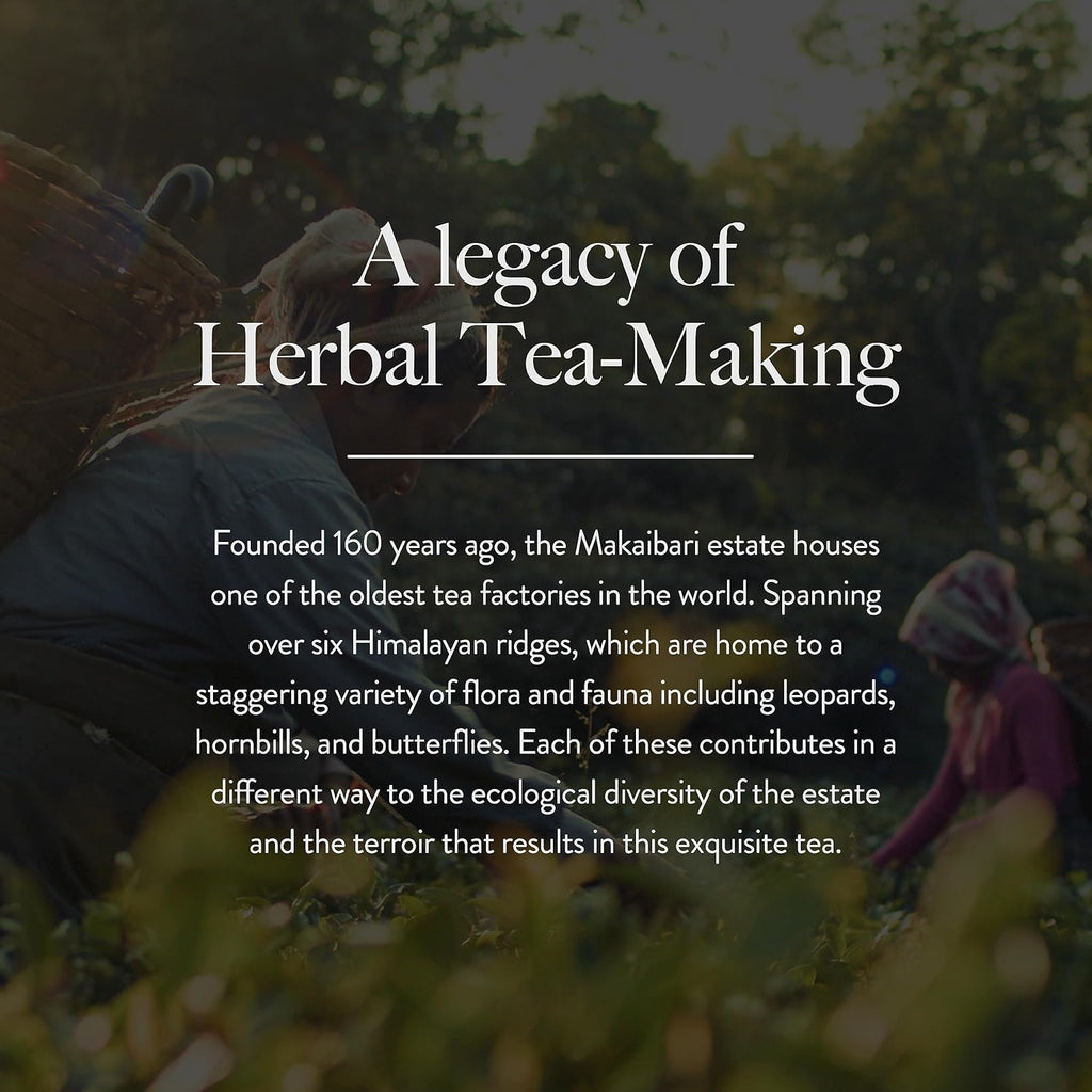 Wellbeing Nutrition Her Care Tea for PCOS PCOD | Herbal Tea for Women with Shatavari & Chasteberry for PMS Relief, Hormonal Imbalance & Regularize Menstrual Cycle (20 Pyramid Tea Bags)