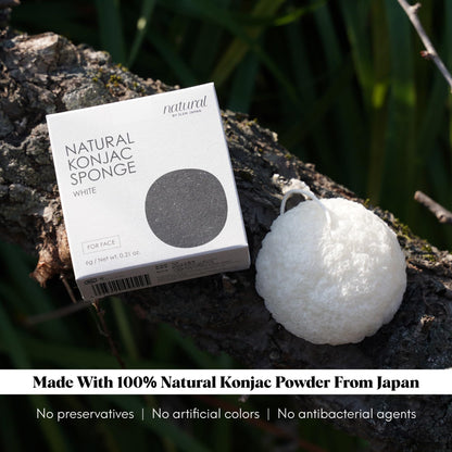 ILEM JAPAN Natural Konjac Sponge Face (White)