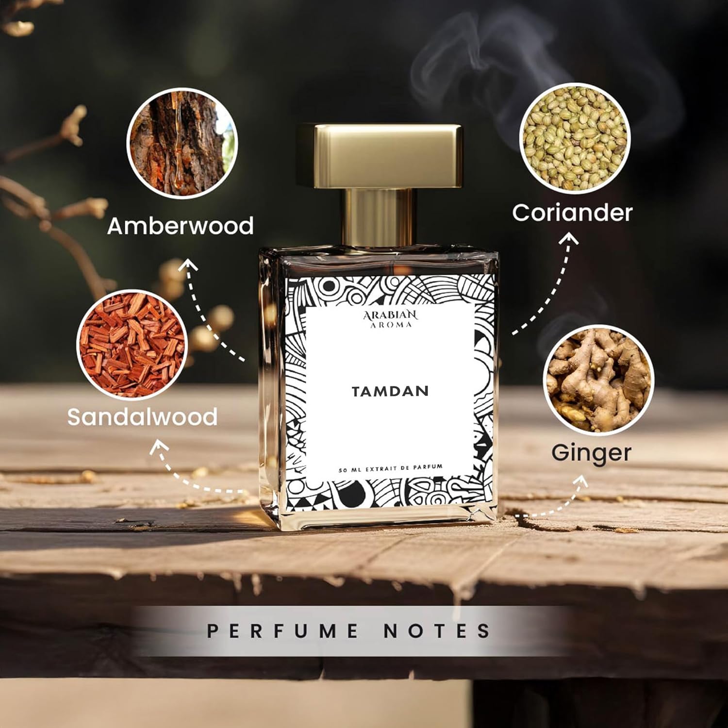 Arabian Aroma Tamdan Perfume for Men â€“ Long Lasting Extrait De Parfum with Woody, Amberwood, Lime & Sandalwood Notes â€“ Aromatic Spicy Fragrance â€“ inspired Masculine Scent â€“ 50ml