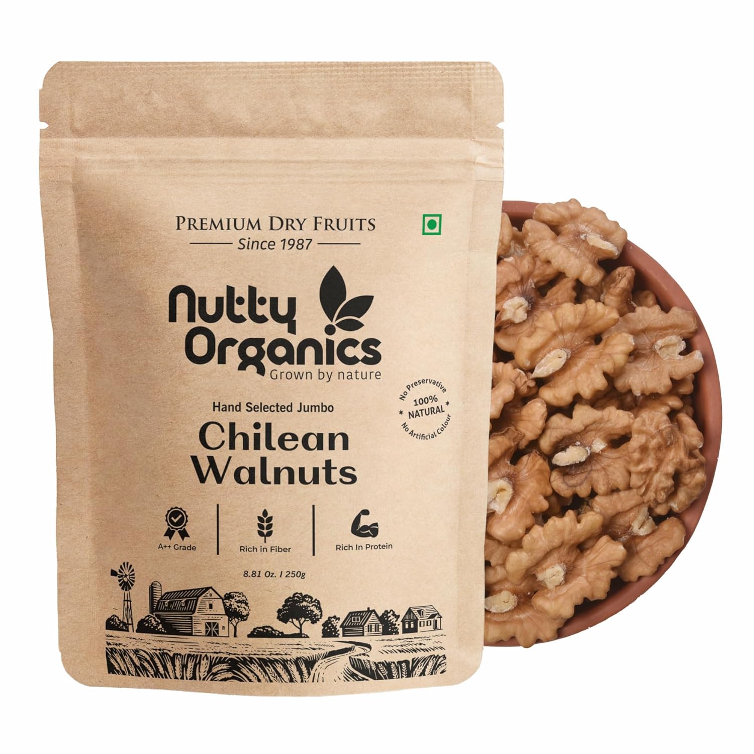 Nutty Organics Dried Walnut 250 Gm | Crunchy | Nutritious Tasty & Healthy Nuts Dry Fruits | Akhrot Giri | Rich in Protein