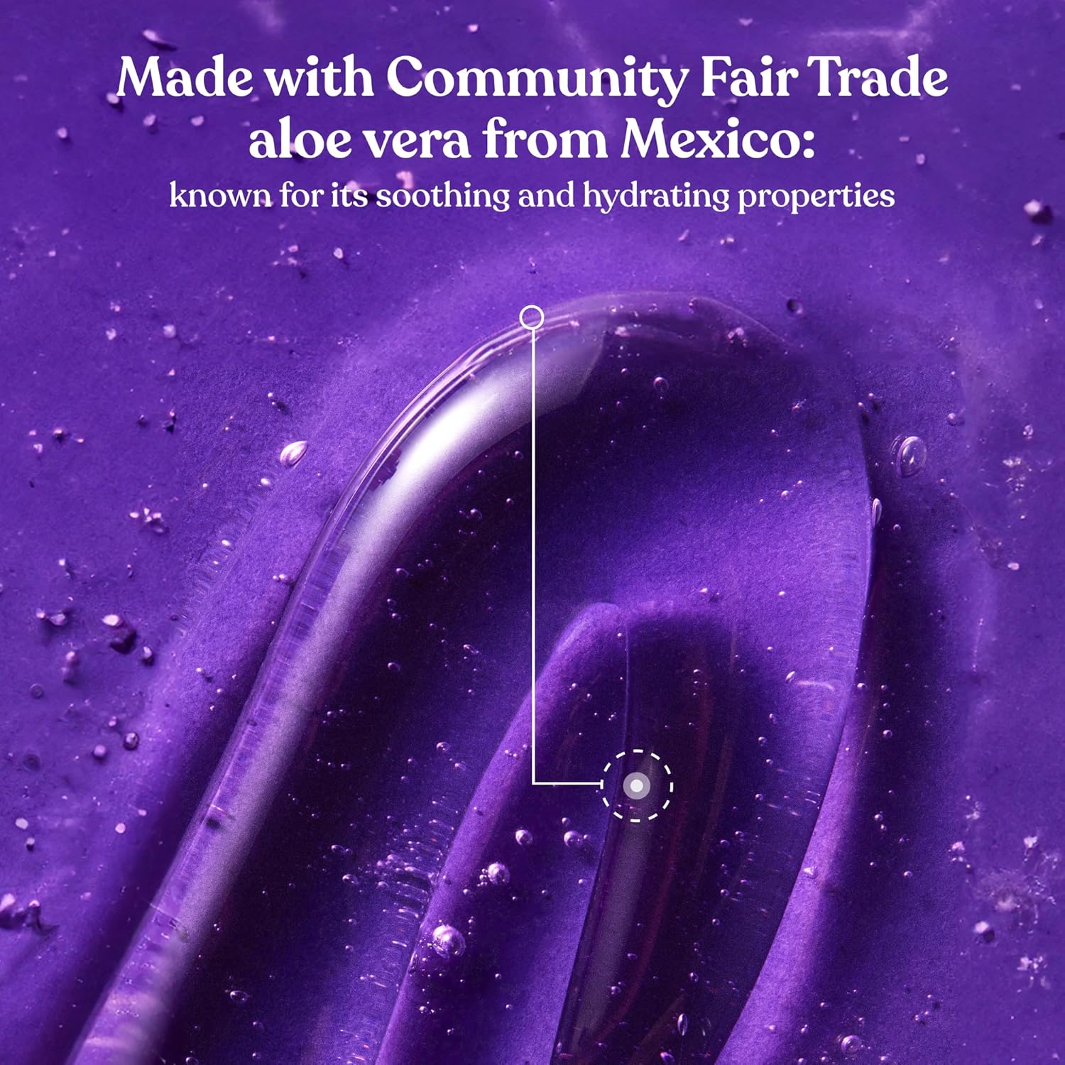 The Body Shop Dewberry Bath & Shower Gel (1x 250ml) Refreshing Body Wash with Fruity and Floral Scent, Gentle Cleanser with Community Fair Trade Aloe Vera, Vegan Certified, 250ml