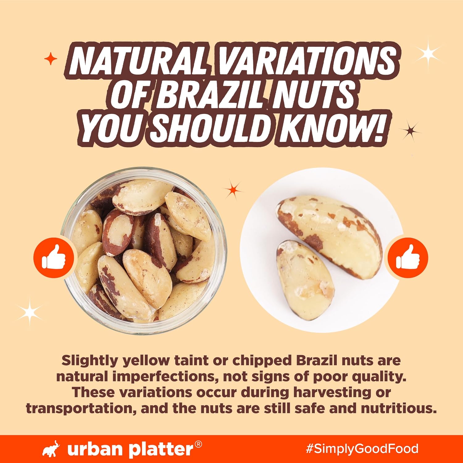 Urban Platter Brazil Nuts, 100g (Rich in Selenium | Superfood | Have 1 Daily | Product of Peru)