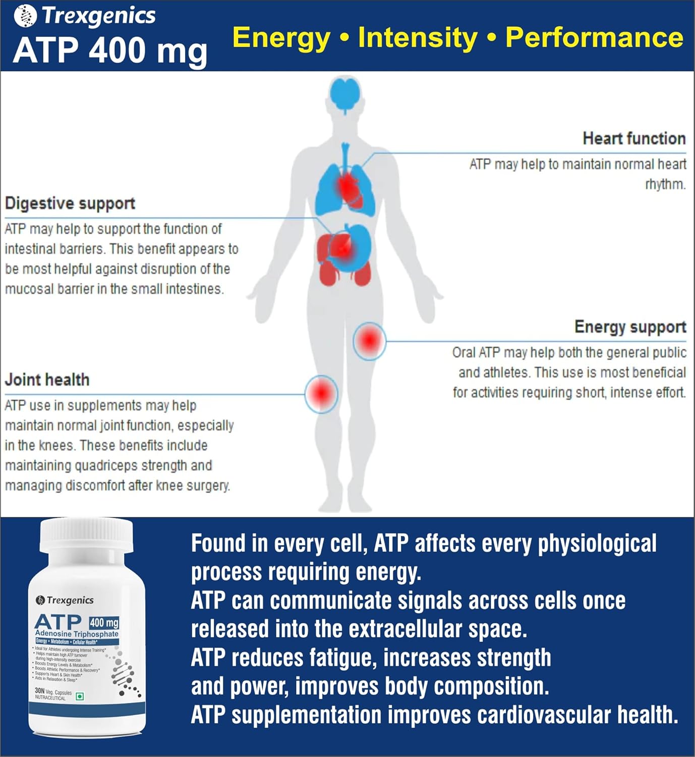 Trexgenics ATP Adenosine Triphosphate 400 mg Energy, Metabolism, Endurance, Cellular Health VEGAN & NON-GMO (30 Vcaps) (Pack of 1)