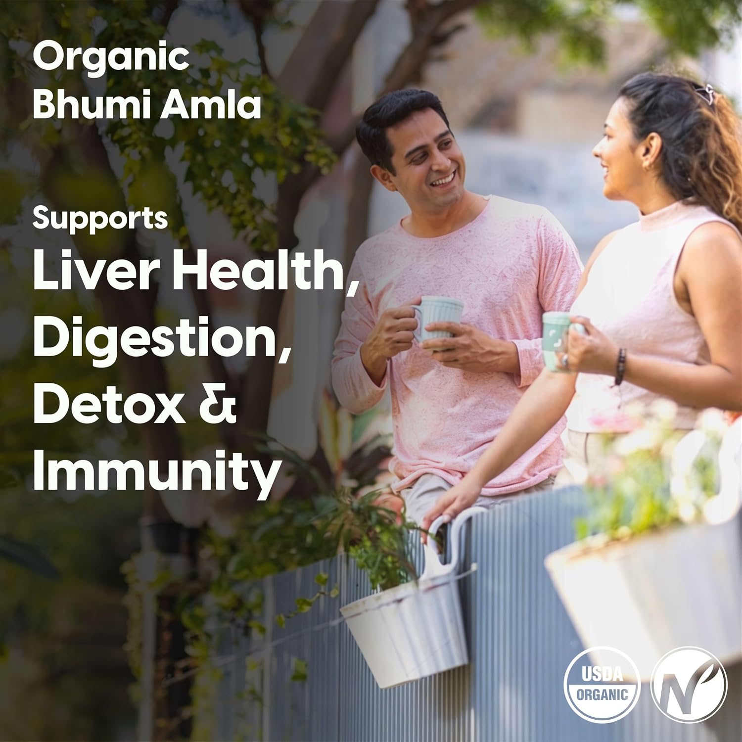 The Nature's Society Â® Bhumi Amla Powder Organic 100gm | Raw Cold Grind | USA Organic Certified | Pure Bhoomi Amla Powder for Liver Health, Digestion & Detox | Rich in Nutrients and Antioxidants |