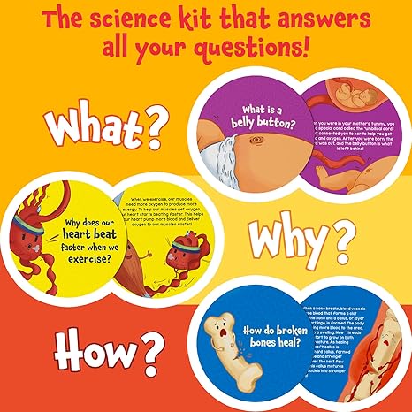 Skillmatics Flash Cards Science Snippets The Human Body Learning Resources & Educational Toys
