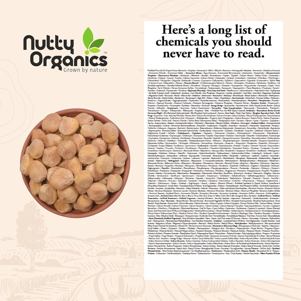 Nutty Organics Dried Apricots Jardalu 250GM | Nutritious | Rich in Iron | Tasty & Healthy Nuts Dry Fruits | Rich in Protein | Gluten Free