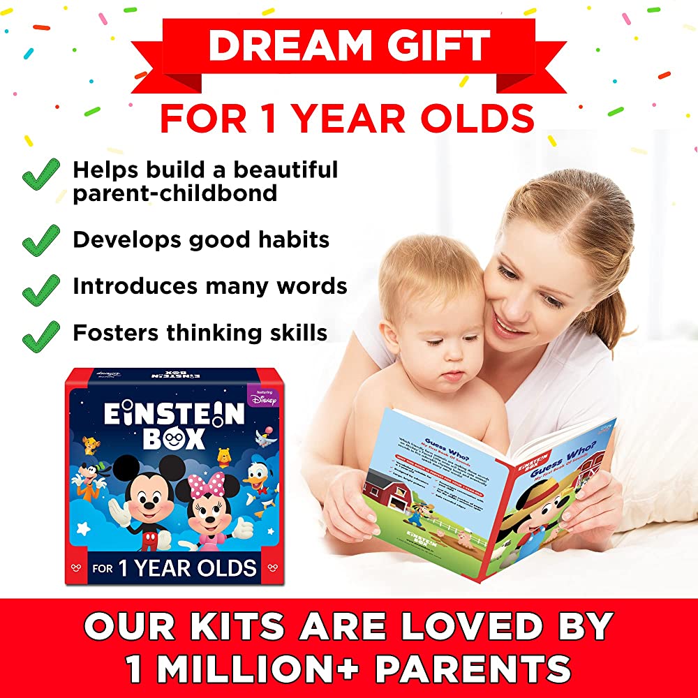 Einstein Box Gift Toys For 1-Year-Old Boys/Girls