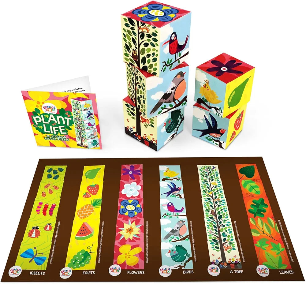 Genius Box Play Some Learning Activity Kit For 3+ Year Age: Nature Explorer Diy, Educational Toy, Learning Kit, Educational Kit, Stem Toy