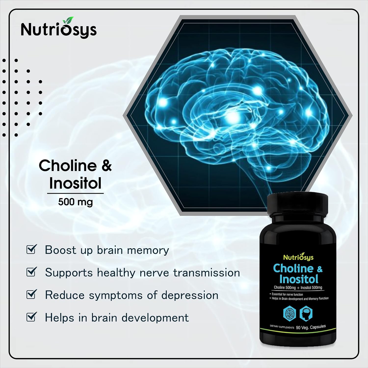 Nutriosys Choline & Inositol 500mg | Brain & Nerve Function | Better Motor Signal | Liver & Heart Health | Lab Tested | 90 Veg Capsules