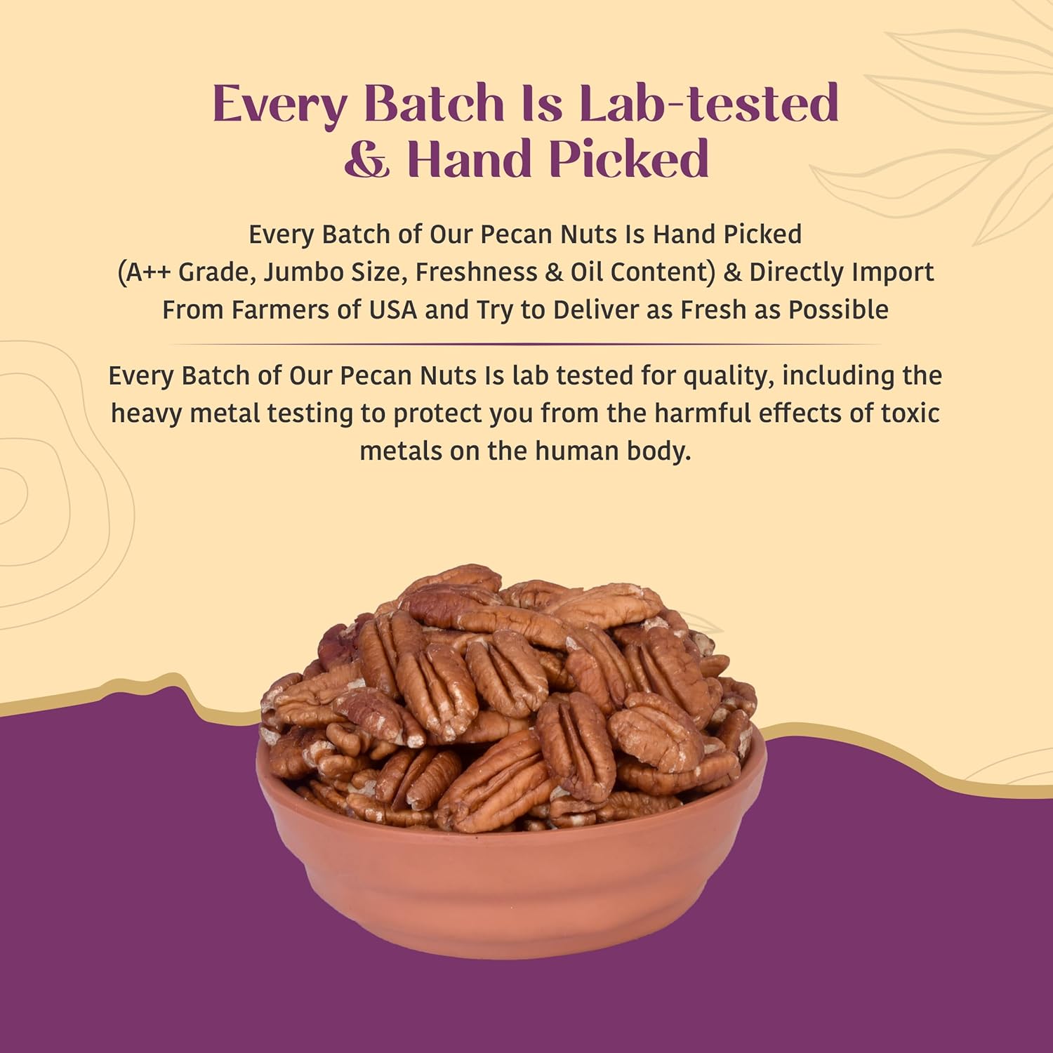 Nutty Organics Pecan Nuts Kernel 200g | Premium Shelled Pecan Nuts | Rich in Antioxidants & Healthy Fats | Natural Dry Fruits