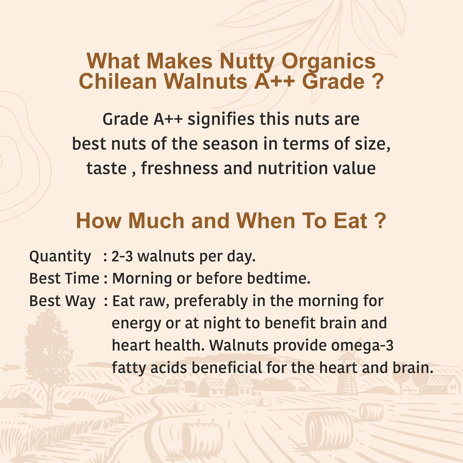 Nutty Organics Dried Walnut 250 Gm | Crunchy | Nutritious Tasty & Healthy Nuts Dry Fruits | Akhrot Giri | Rich in Protein