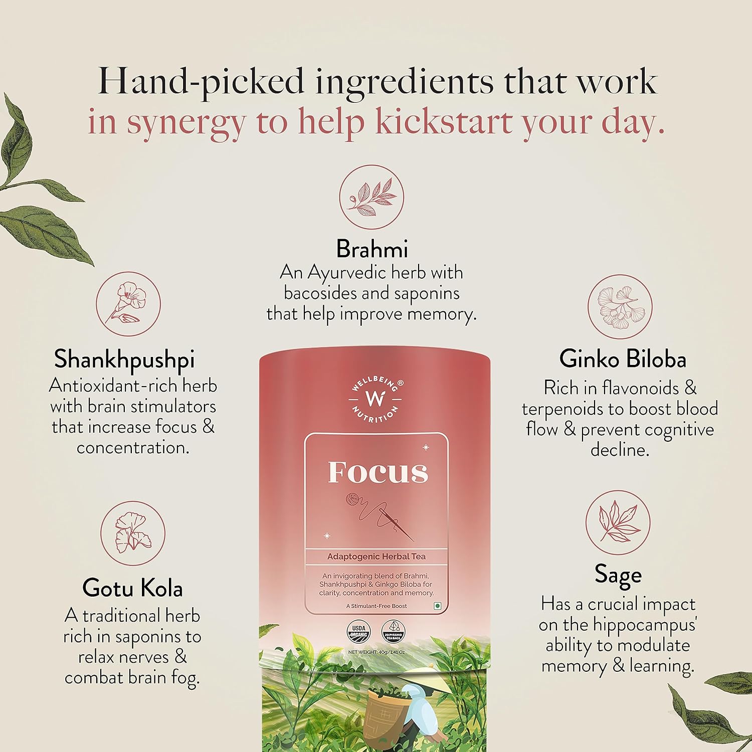 Wellbeing Nutrition Focus Tea | Memory Booster Green Tea for Focus, Concentration & Cognitive Function with Brahmi, Shankhpushpi, Ginkgo Biloba, Gotu Kola (20 Pyramid Tea Bags)