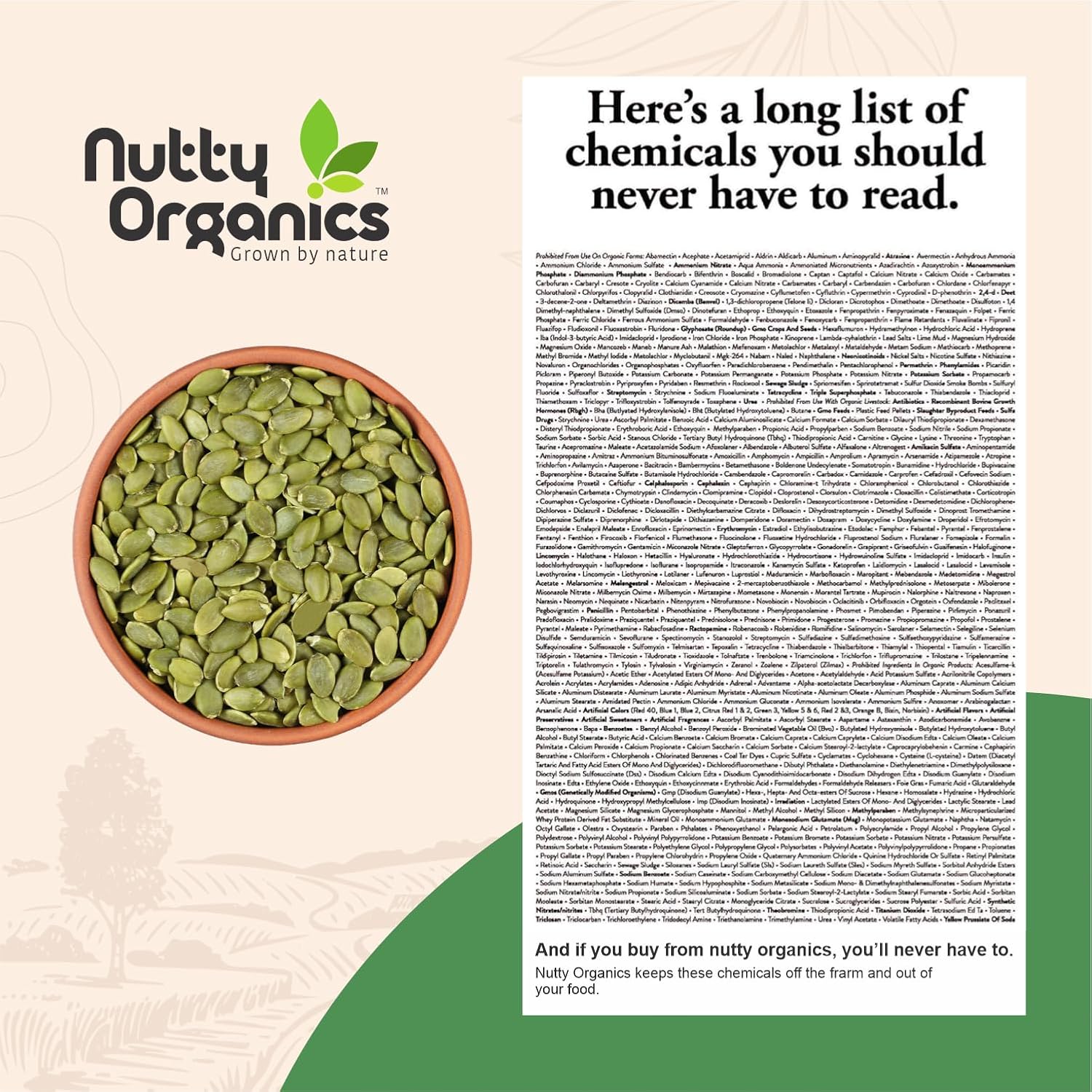 NUTTY ORGANICS Natural Pumpkin Seeds 200GM | Raw Pumpkin Seeds for Eating- Immunity Booster and Protein Rich Seeds | Healthy Diet Snacks | Weight Management