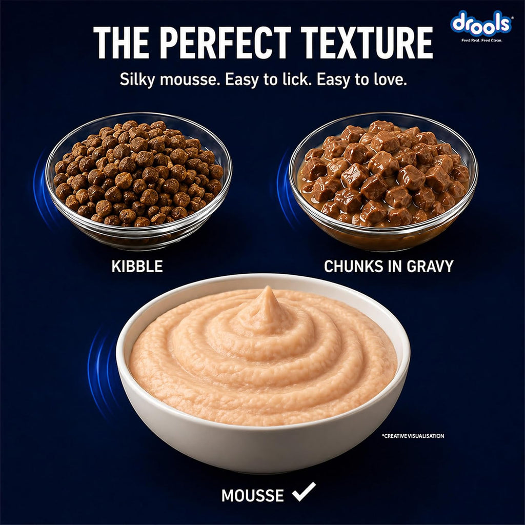 Drools Adult Cat Wet Mousse 80g Pack of 5, 400g | Salmon Flavour | Rich in Protein | Promotes Hydration & Easy to Digest | No Artificial Flavours | Packed with Essential Vitamins & Antioxidants