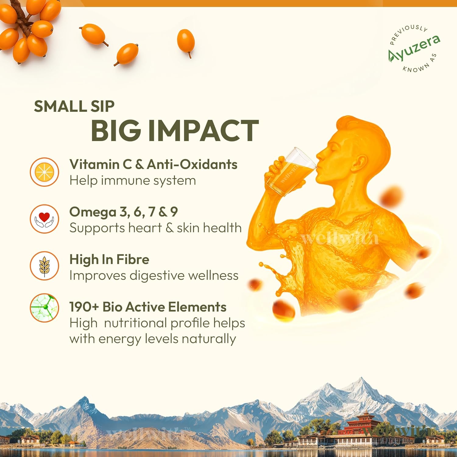 Wellwith by Ayuzera Himalayan Sea Buckthorn Pulp 300ml | Cold Pressed Seabuckthorn Juice | Rich in Vitamin C, Omega 3 6 7 9 & Antioxidants | Supports Immunity, Skin & Gut Health
