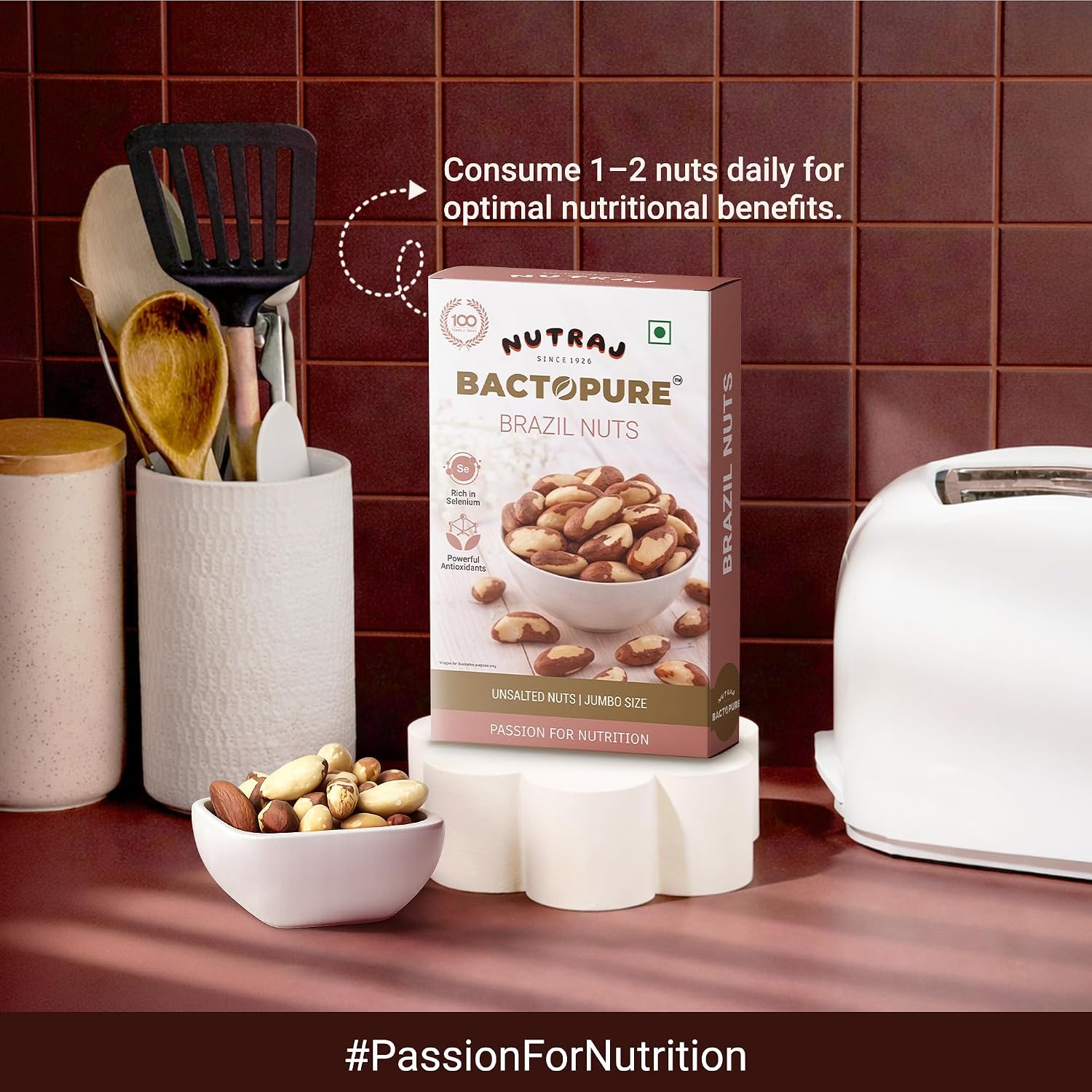 Nutraj Brazil Nuts Roasted 100g Pouch | No Added Preservatives | Handpicked & Exotic | Raw & Unsalted Natural Whole