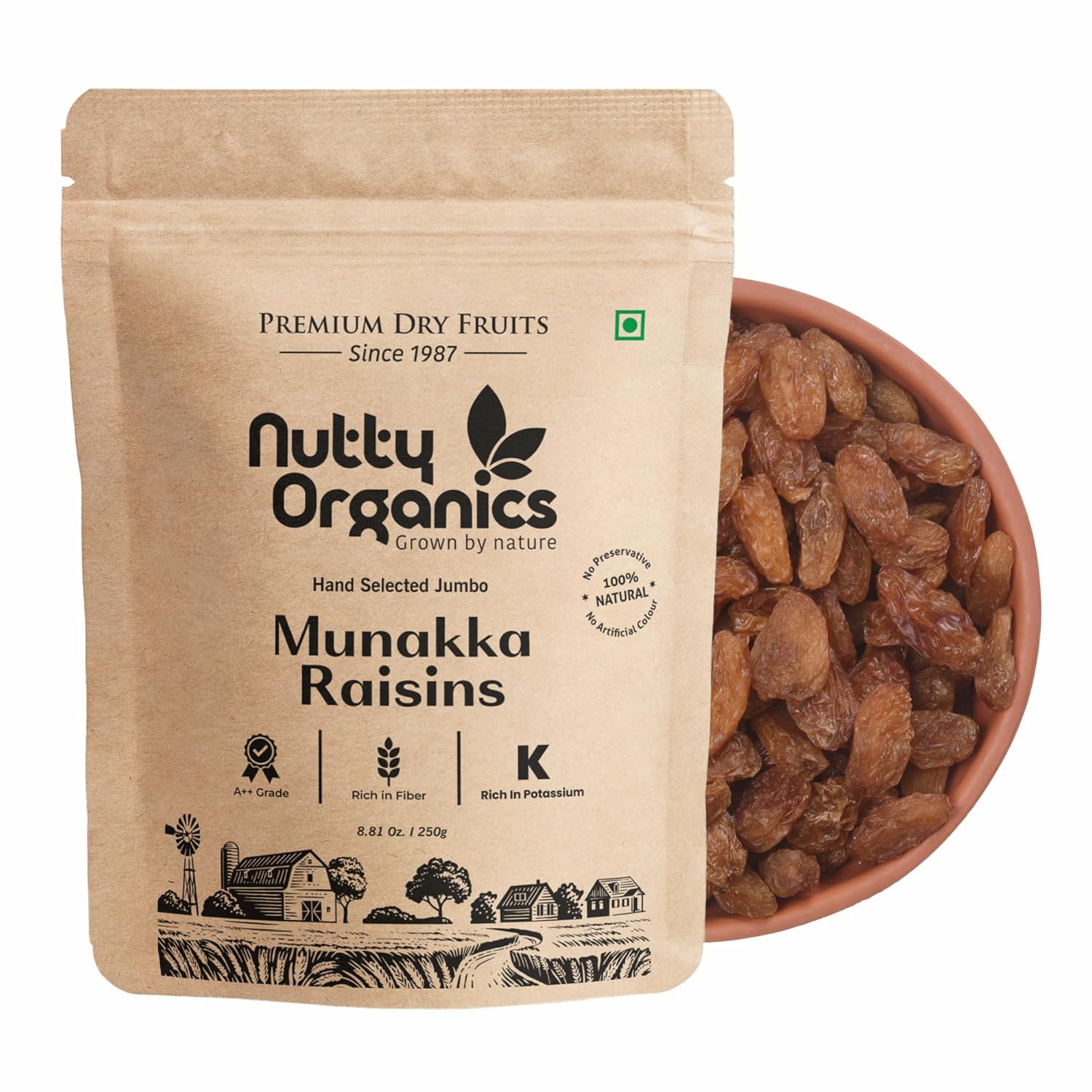 Nutty Organics Munaka Raisins 250 Gm | Nutritious| Rich in Iron | Tasty & Healthy Nuts Dry Fruits | Rich in Protein