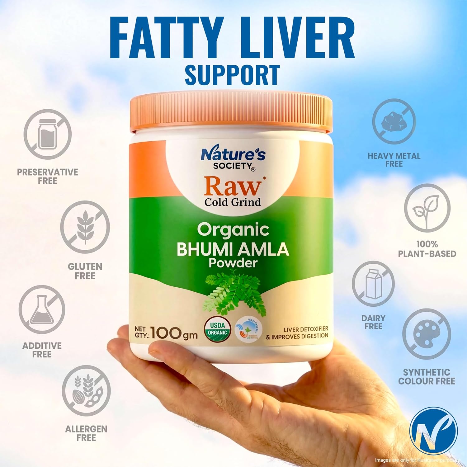 The Nature's Society Â® Bhumi Amla Powder Organic 100gm | Raw Cold Grind | USA Organic Certified | Pure Bhoomi Amla Powder for Liver Health, Digestion & Detox | Rich in Nutrients and Antioxidants |