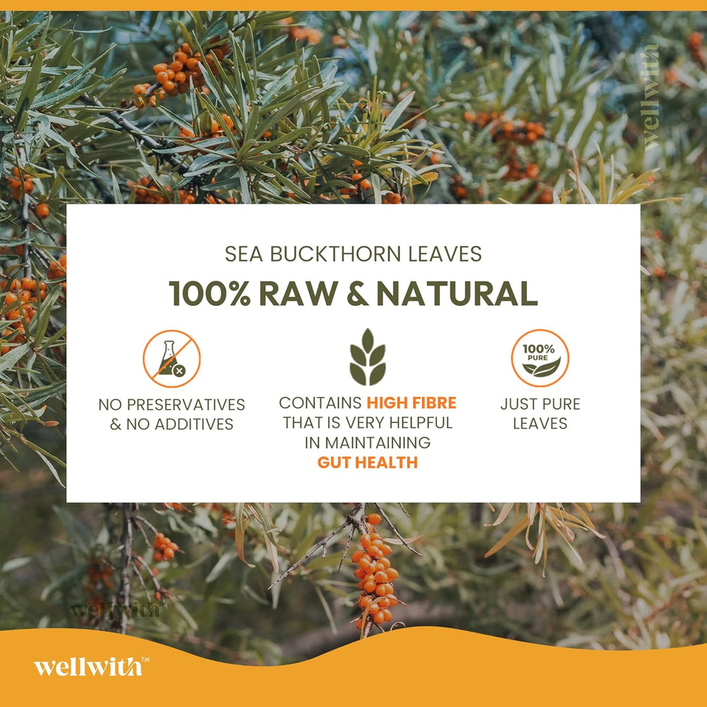 Wellwith by Ayuzera Sea Buckthorn Raw Leaves Tea, Good For Skin and Immunity, For a Healthy Lifestyle - Himalayan Herbal Tea - Pure & Natural (100g)