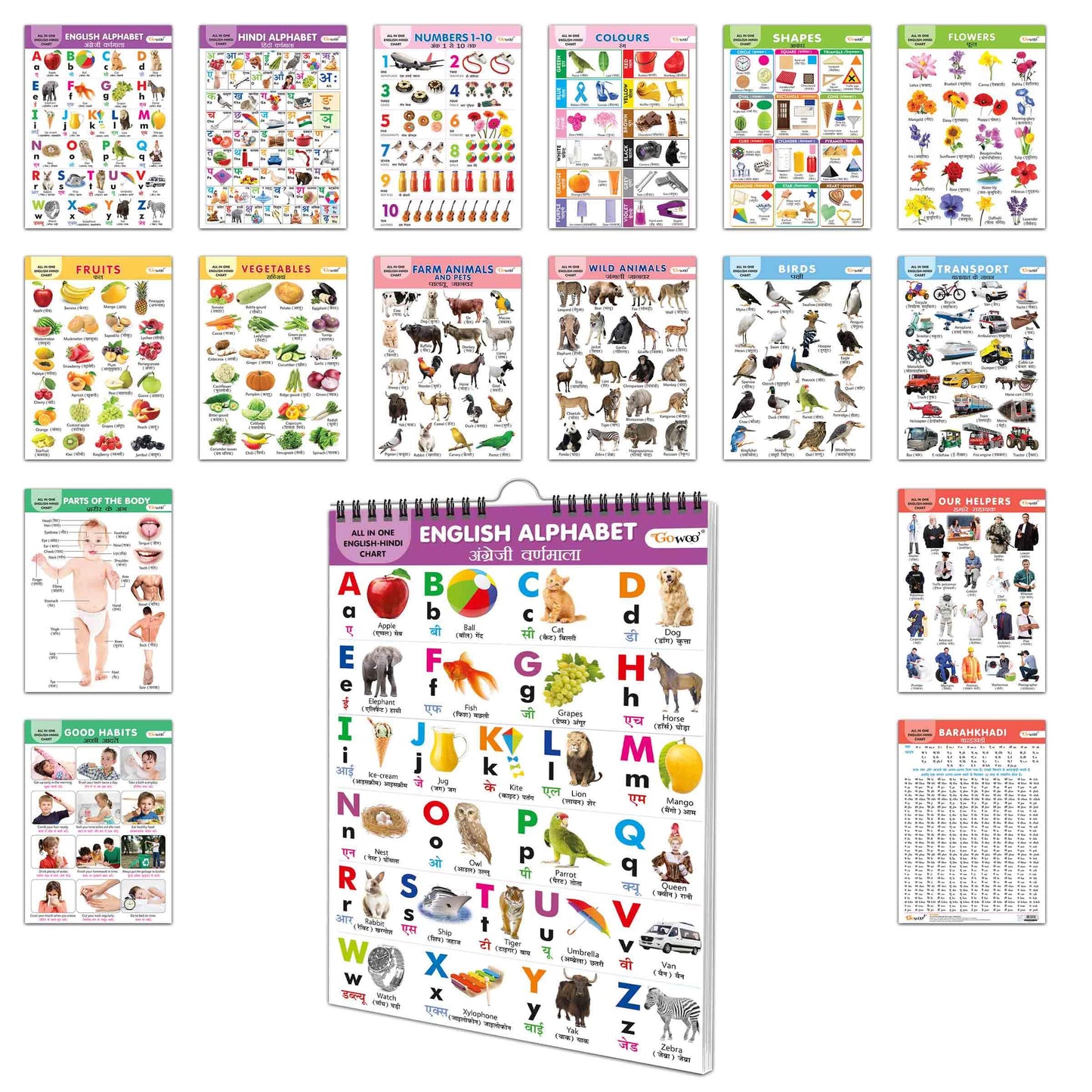 English-Hindi Chart For Kids (16 Charts ) 36 X 50 Cm - Children Spiral Wall Picture Chart