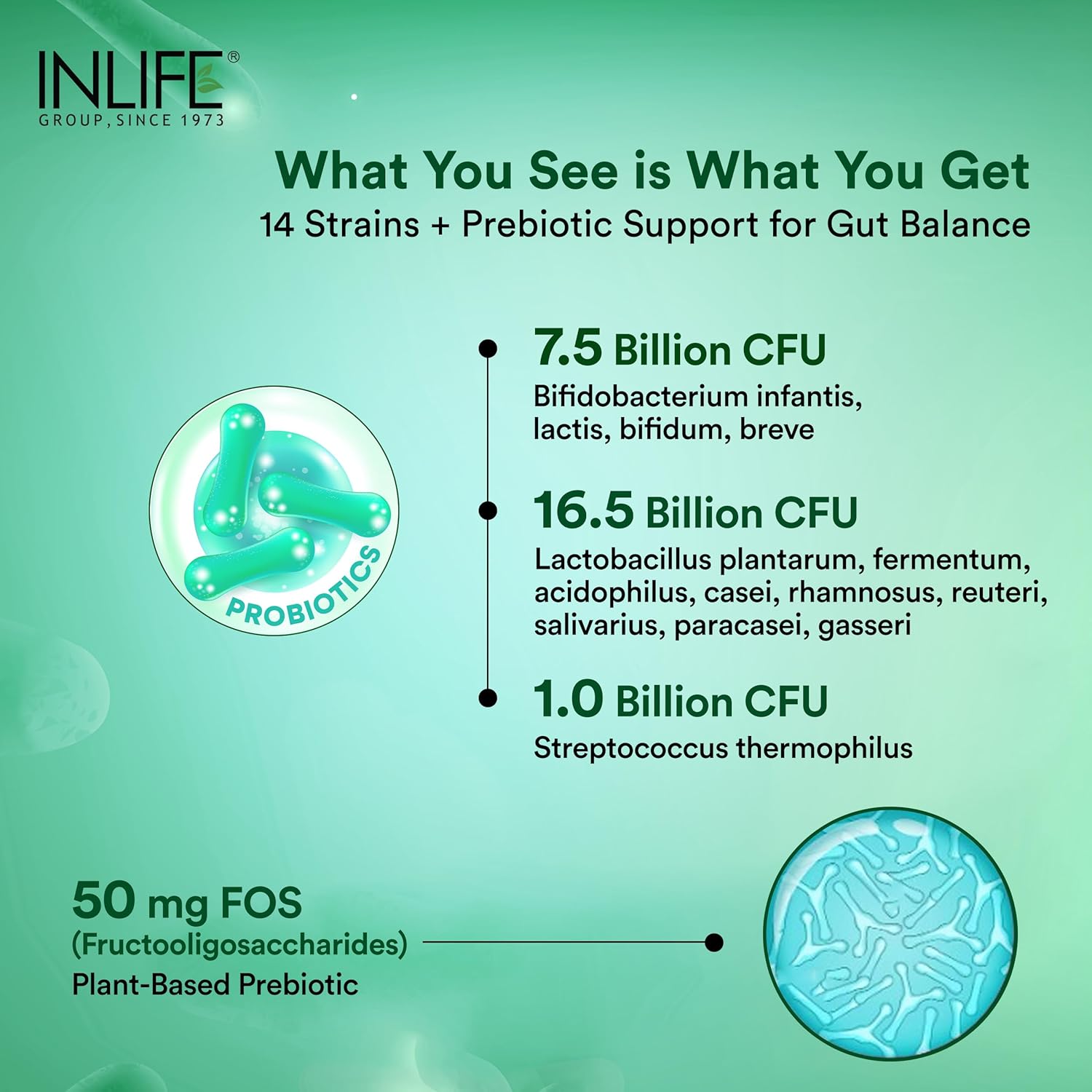 INLIFE Prebiotic and Probiotics Forte Supplement for Men & Women 25 billion CFU with 14 Strains | Digestion Gut & Immunity Health Supplement - 60 Capsules (Pack of 1)