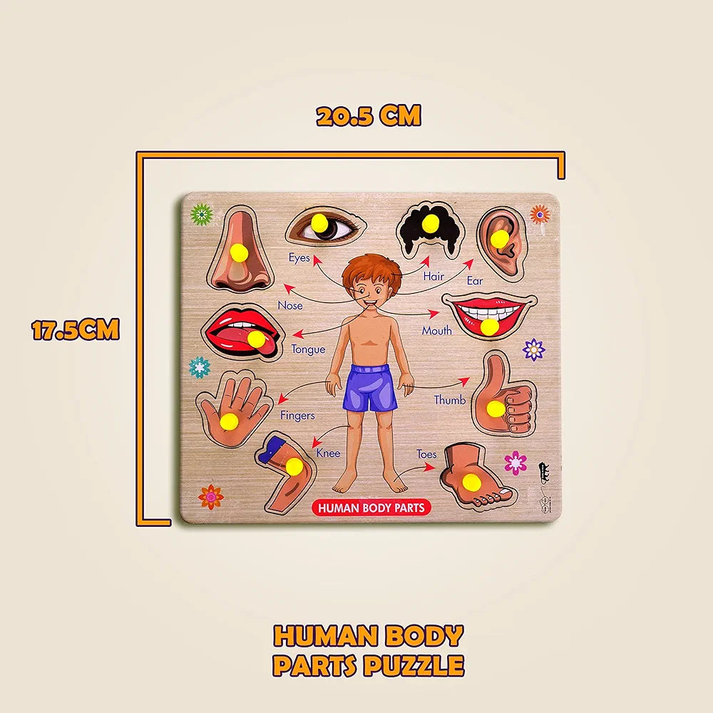 Lefan Body Part Puzzle Kids Wooden Toys for Kids 3 + Jigsaw Puzzles for Adults Baby Learning Toys Educational Toys for 2 Board Game