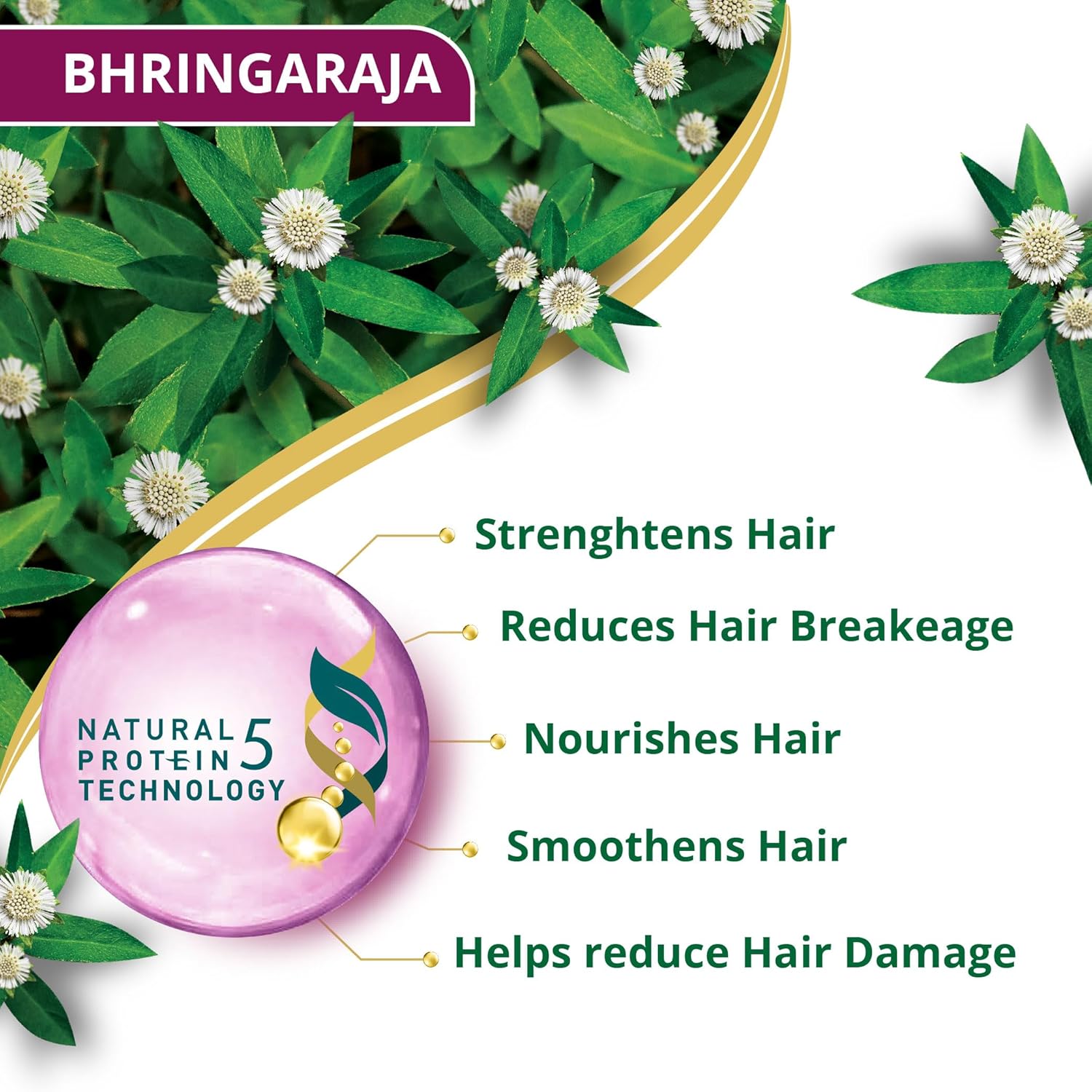 Himalaya Anti-Hair Fall Bhringaraja Shampoo, Reduces Hair Fall, Makes Hair Healthy, With Bhringaraja & Palasha,for men and women, 1000ml