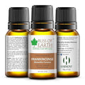 Bliss of Earth Pure Frankincense Essential Oil - 10 ml