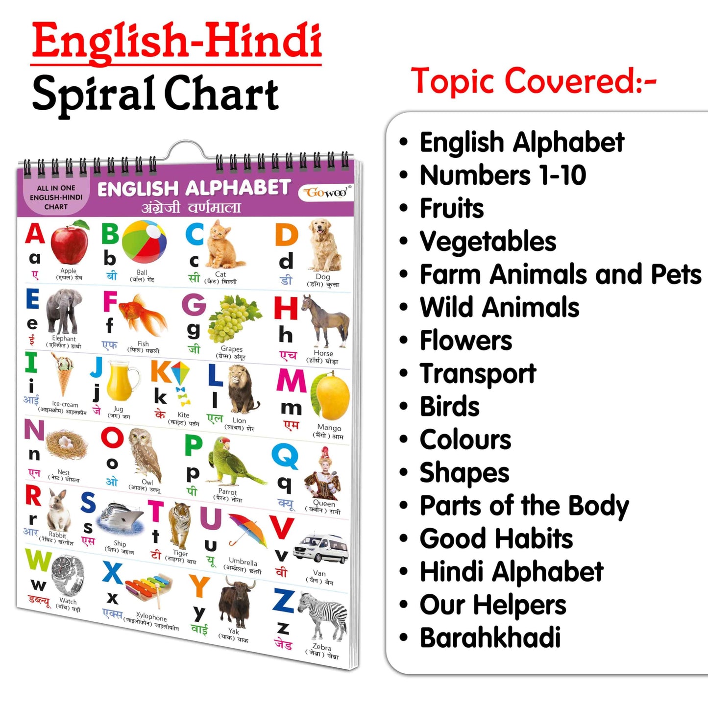 English-Hindi Chart For Kids (16 Charts ) 36 X 50 Cm - Children Spiral Wall Picture Chart
