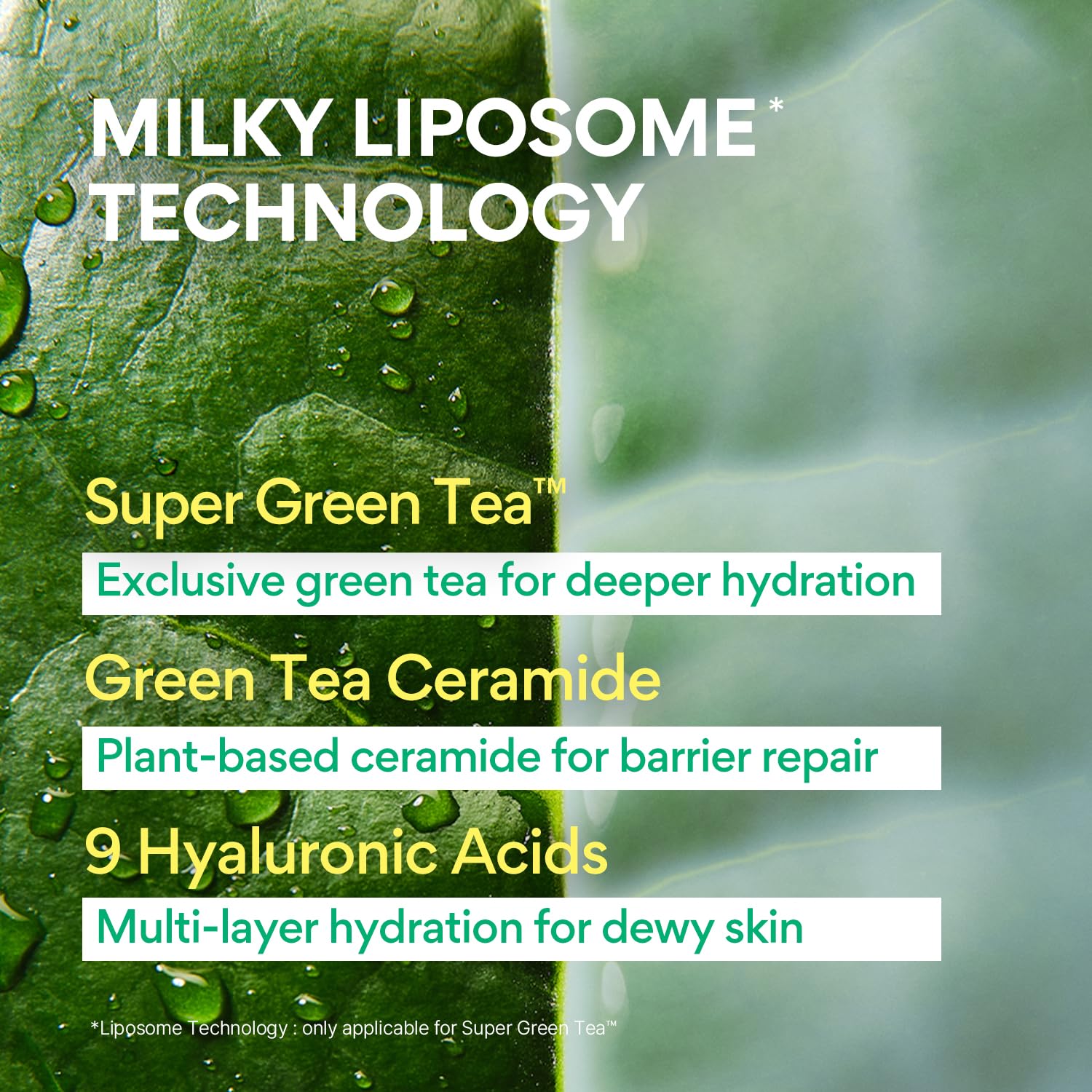 Innisfree Green Tea Ceramide Milk and Seed Skin- Toner