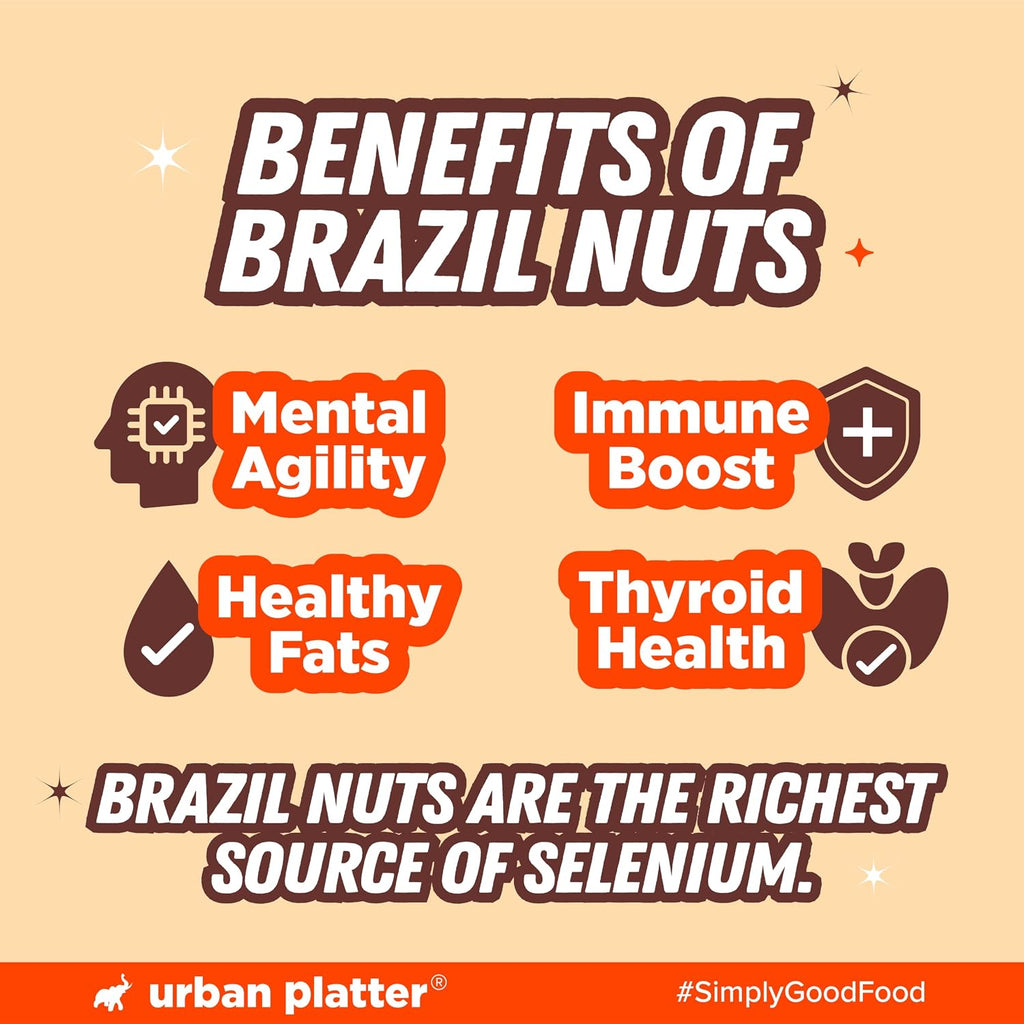 Urban Platter Brazil Nuts, 100g (Rich in Selenium | Superfood | Have 1 Daily | Product of Peru)