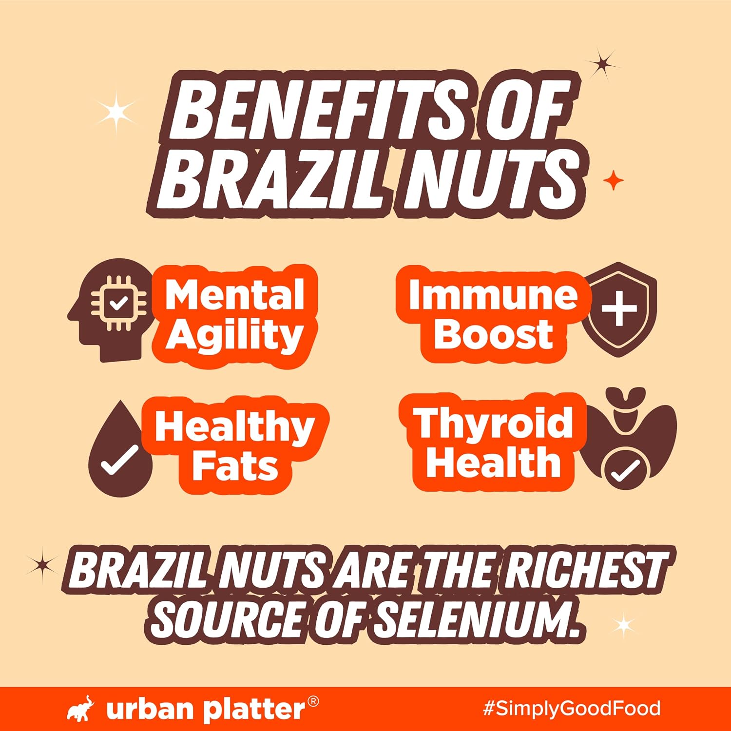 Urban Platter Brazil Nuts, 100g (Rich in Selenium | Superfood | Have 1 Daily | Product of Peru)
