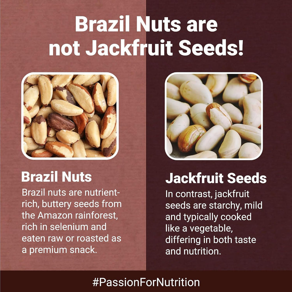 Nutraj Brazil Nuts Roasted 100g Pouch | No Added Preservatives | Handpicked & Exotic | Raw & Unsalted Natural Whole