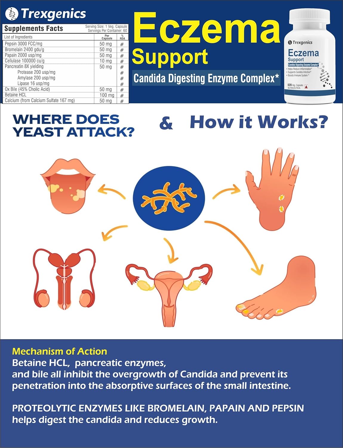 "Trexgenics ECZEMA SUPPORT Candida Digesting Enzyme Complex with Pepsin, Bromelain, Papain, Cellulase, Pancreatin, Ox Bile (45% Cholic Acid), Betaine HCL Calcium sulfate (60 Capsules)" (Pack of 1)