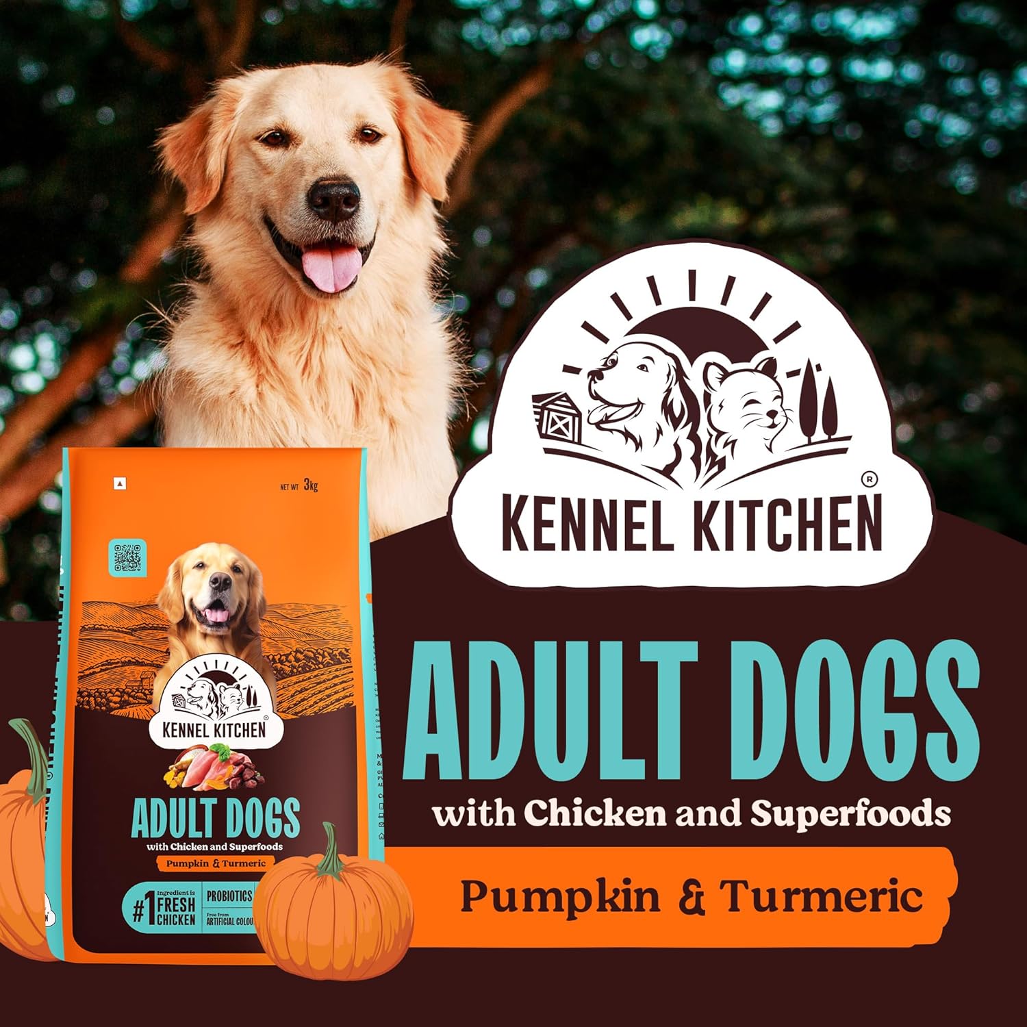 Kennel Kitchen Dry Dog Food Adult 100g | Fresh Chicken with Superfoods – Pumpkin & Turmeric | Probiotics for Digestive Support | No Artificial Colors or Flavours | Complete & Balanced for All Breeds